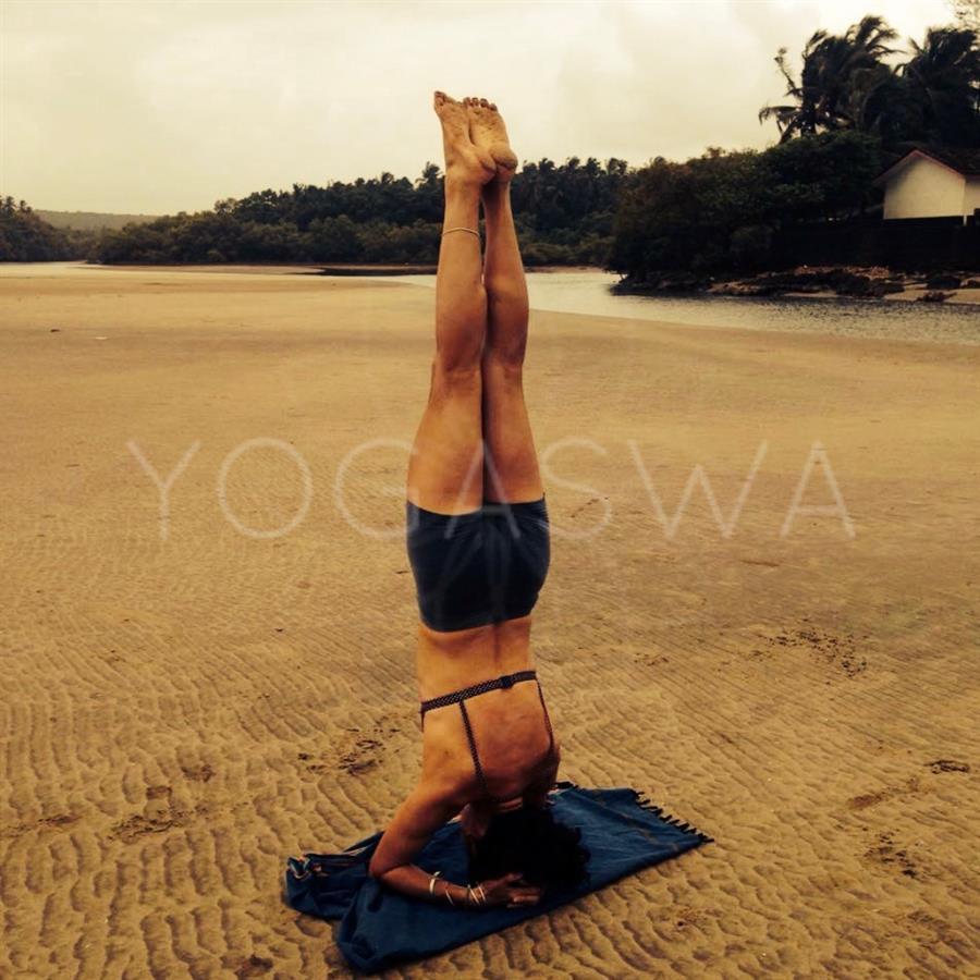 Yoga Goa Inde.png